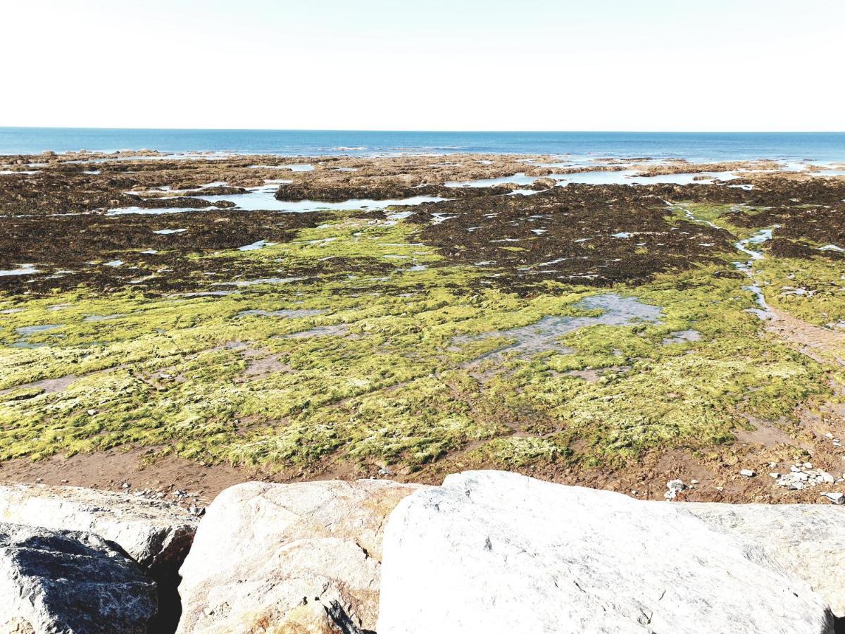 Brétignolles-sur-Mer Le Temps D'Une Pause מראה חיצוני תמונה